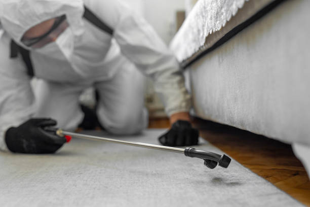 Professional Pest Control technician working in Norman County County, MN